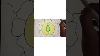 how to draw Stomata diagram step by step stomata stepbystep tutorial diagram [upl. by Nillek361]