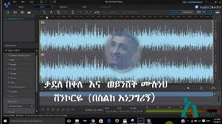 Tadele Bekele amp Woinshet Muluneh  ሸንኮርዬ  Shenkorye [upl. by Malory160]