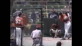 Michael Jordan Batting Practice  Old Comiskey Park 1990 [upl. by Dredi]