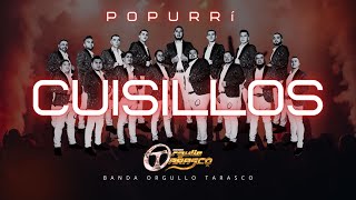 Popurrí Cuisillos  Ya no me mires así  Vanidosa  Pedacito de mi vida  cumbia cover [upl. by Franklin]