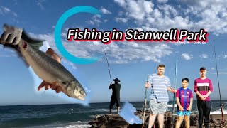 Sydney fishing stanwell Park Beach NSW ￼ [upl. by Assyn633]