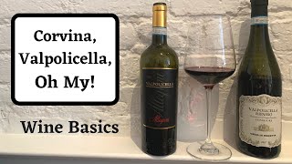 Corvina and Valpolicella  Wine Basics [upl. by Ilenay]