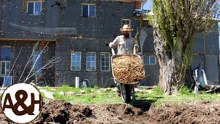 Modified BERMS and SWALES in the veggie garden [upl. by Kung]