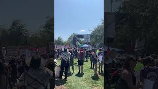 Protesters gather outside Democratic National Convention in Chicago [upl. by Nomar]