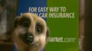 New Compare The Meerkat Advert [upl. by Sula]