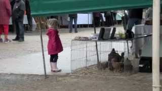 Porte ouverte a la Ferme des Fourneaux [upl. by Karr]