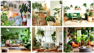 Interior Indoor Plants Decoration Designs  Decorate amp Level Up Your Home  Home Decoration Place [upl. by Fendig]