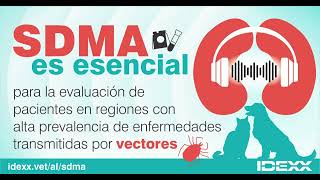 IDEXX SDMA  Evaluación rápida de la función renal en perros y gatos [upl. by Gunnar]