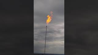 Lighting a flare stack with flare [upl. by Alehc]