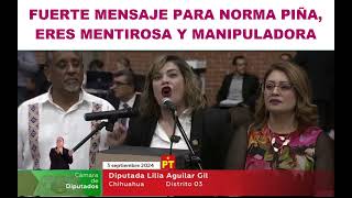 DIPUTADA EXHIBE A NORMA PIÑA EN DISCUSION DE LA REFORMA DEL PODER JUDICIAL [upl. by Esinereb]