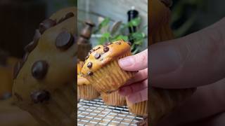 Pumpkin Cottage Cheese Muffins [upl. by Rosdniw832]