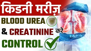 Control High Blood Urea amp Creatinine Level Naturally  Lower Creatinine Levels  DR Puru Dhawan [upl. by Fowle]