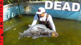 MY BIGGEST PET DIED in POOL POND while Fishing with ALLIGATORS [upl. by Thayne]