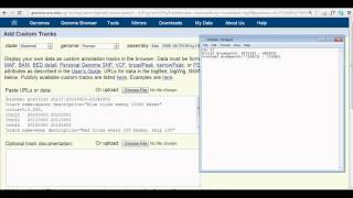 How to Add a Custom Track onto the UCSC Genome Browser [upl. by Annehcu]