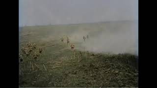 WW1 Combat Reenactment Colorized 60FPS [upl. by Bourke]