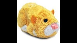 Zhu Zhu Pets Review On Nugget [upl. by Frederich510]