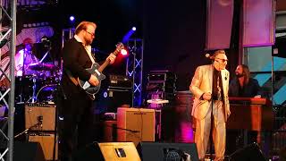 Rick Estrin And The Nightcats Great band pay close attention to the drummer 😁 [upl. by Flavio93]