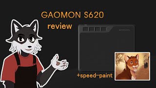 Gaomon s620 Review [upl. by Assenat]