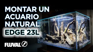 Montaje de un Acuario Natural en un Fluval Edge 23L [upl. by Smitty]