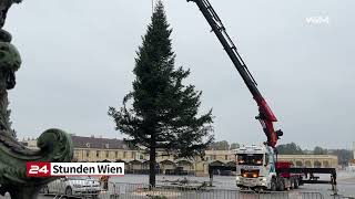 Weihnachtsbaum für Schloss Schönbrunn angeliefert [upl. by Omsoc]