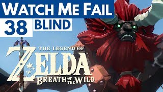 Watch Me Fail  The Legend of Zelda Breath of the Wild BLIND  38  quotLynelquot [upl. by Lotsirb]