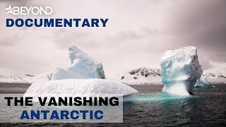 The Vanishing Antarctic  Full Documentary  Beyond Documentary [upl. by Ynetruoc]