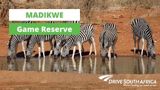 Madikwe Game Reserve [upl. by Sualakcin203]