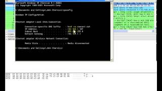 Wireshark Packet Capture Subnet Mask ARP and DNS Part 1 [upl. by Naesed]