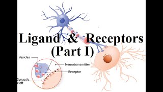 Medicinal Chemistry Ligands amp Receptors Signaling amp Response chemistry pharmacy MajidAli2020 [upl. by Jet502]