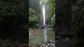 asiashorts Casaroro Falls Negros Oriental philippines amazing travel nature jungle asia [upl. by Yntrok652]