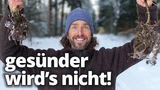 Die gesündeste Pflanze Deutschlands Wie du die Brennnessel auch im Winter nutzt [upl. by Enelrihs]