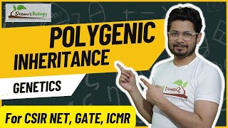 Polygenic inheritance CSIR NET  polygenic inheritance vs multiple alleles [upl. by Zetnas]