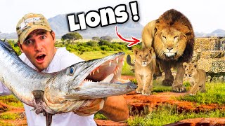 FEEDING MASSIVE FISH TO LION PRIDE  WHAT HAPPENS [upl. by Conger208]