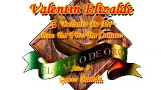 Delante De Mi  Valentin Elizalde [upl. by Leroi660]