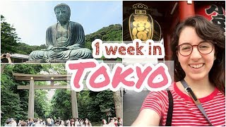 Tokyo in 7 days Itinerary amp Travel Guide [upl. by Casilde]