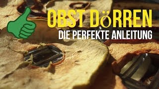 ► Obst dörrentrocknen Die perfekte Anleitung für getrocknete Apfelringe [upl. by Peednas]