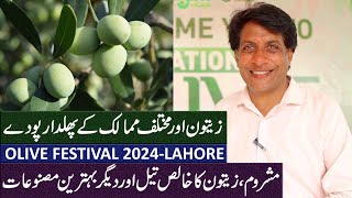 Olive amp Mushroom Products  Exotic Plants amp More in Olive Festival  Organic Village Lahore  Ep05 [upl. by Cynarra]