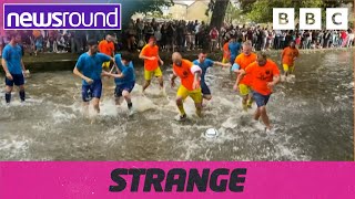 Strange News Bog snorkelling fun football amp more  Newsround [upl. by Eenwahs]