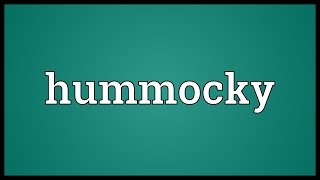 Hummocky Meaning [upl. by Arinaid954]