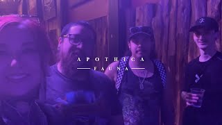 Apothica  Fauna Official Music Video [upl. by Eutnoj]