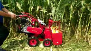 Small Corn Harvester Selfpropelled Handpushing Type [upl. by Katherina987]