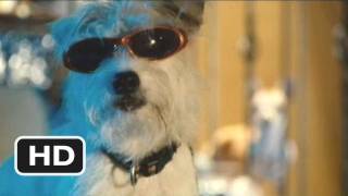 Marmaduke 2 Movie CLIP  The Dukes Rager 2010 HD [upl. by Inwat473]