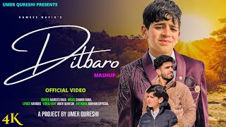 DILBARO  KASHMIRI SUPER HIT SONG  RAMEES NAZIR  UMER QURESHI SHAKIR BABA [upl. by Oates]