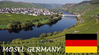 Mosel Wine tourism German Riesling Wine Moselle Valley Germany wines DeutschlandTourismus Travel [upl. by Hurleigh]