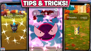 Top Tips for Pokémon GO Halloween Part 1 2x Catch Candy Shiny Zorua amp More [upl. by Oirasor]