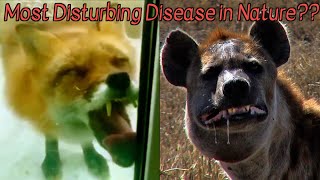 Animal Diseases that Belong in a Horror Movie [upl. by Aisemaj]