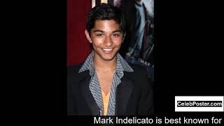 Mark Indelicato biography [upl. by Havelock]