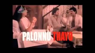 Palkari Penne palonnu thayo Remix [upl. by Ayatahs457]