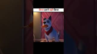 pet united Robo City Explained in Hindi [upl. by Reppart74]