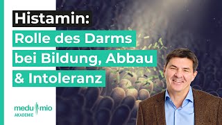 Histamin Diese Rolle spielt der Darm bei Bildung Abbau amp Intoleranzen 🔬​ Dr Ralf Kirkamm [upl. by Magnolia392]